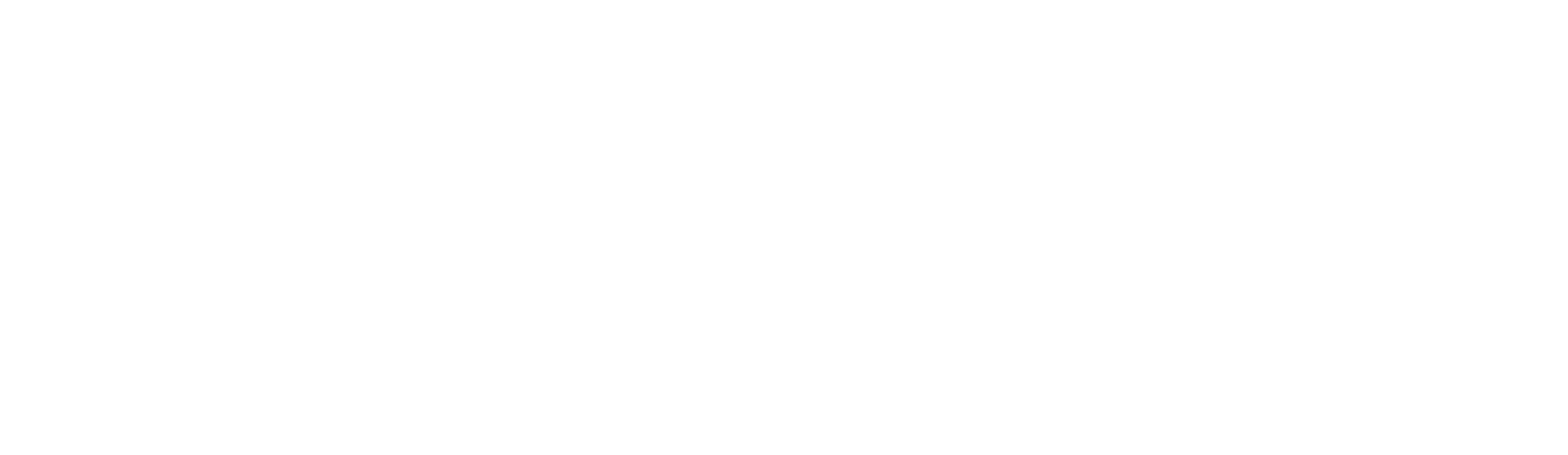logo light
